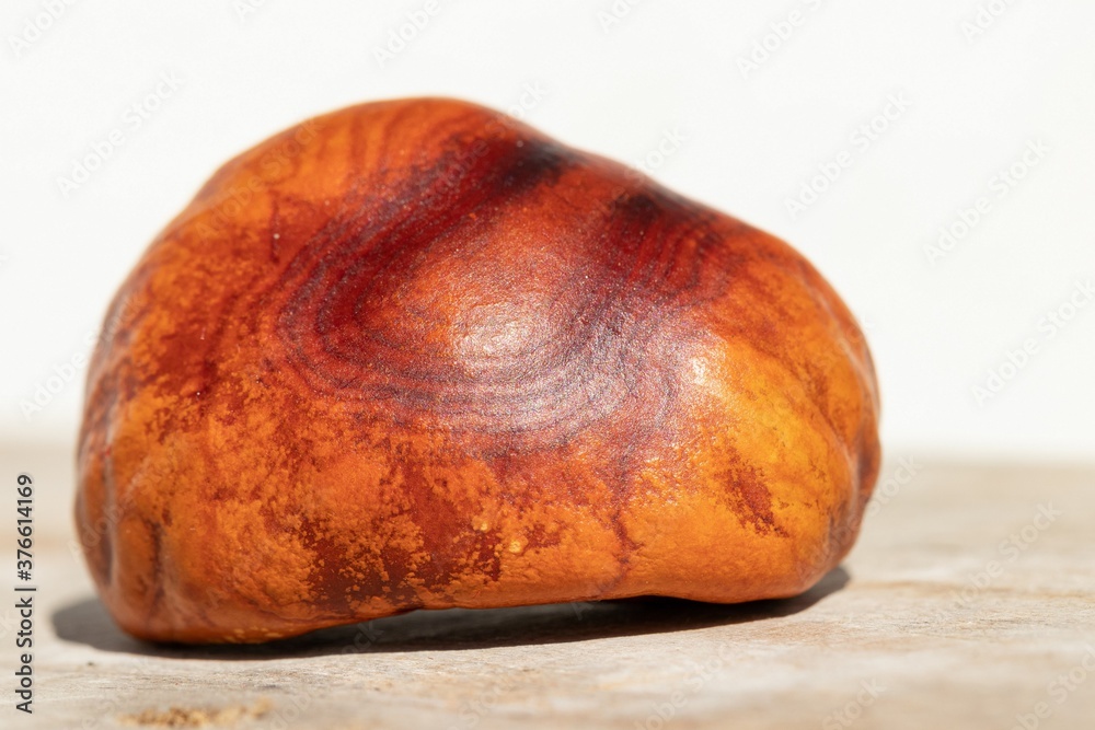 Autumn abstract background: one chestnut nut with a unique pattern on the shell surface, close-up Autumn abstract background: one chestnut nut with a unique pattern on the shell surface, close-up