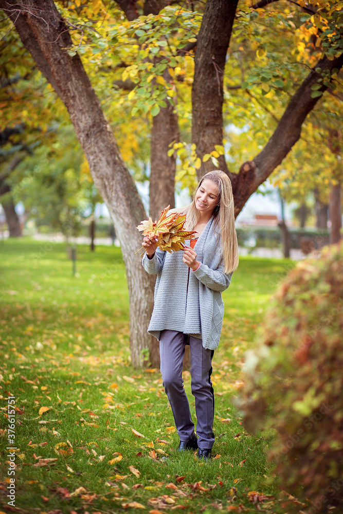 A beautiful girl in a gray cardigan walks through the city park and collects autumn leaves in a bouquet A beautiful girl in a gray cardigan walks through the city park and collects autumn leaves in a bouquet