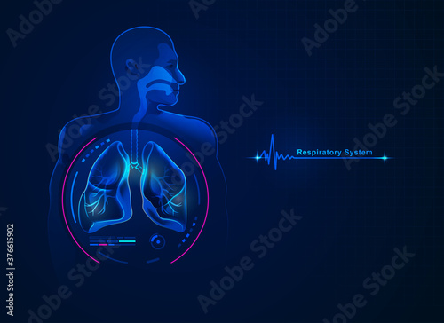 respiratorySystem photo