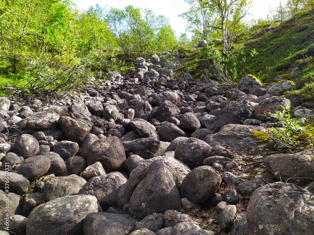Large stones dried riverbed in the forest in the mountains Large stones dried riverbed in the forest in the mountains