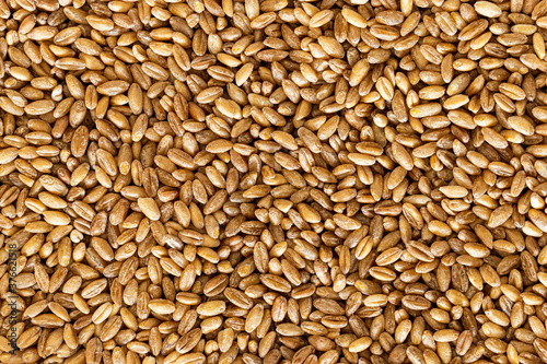 Brown wheat grains background or texture. Healthy food. Vegan nutrition.