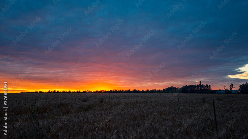 Summer sunset in the field. The sky shines with beautiful orange and shimmer with different colors. Natural landscape. Summer sunset in the field. The sky shines with beautiful orange and shimmer with different colors. Natural landscape.
