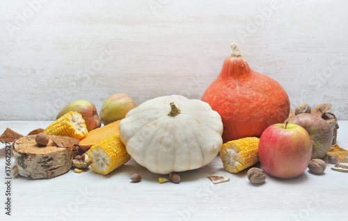 various and colorful autumnal vegetables and fruits