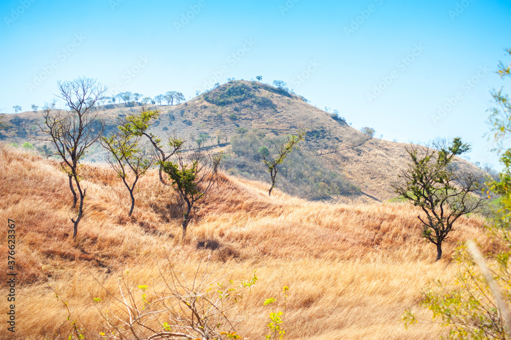 Dry grass in the hills of Metapan, Santa Ana el Salvador