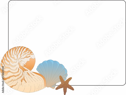 frame with seashells