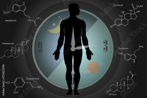 The circadian rhythms are controlled by circadian clocks or biological clock these clocks tell our brain when to sleep, tell our gut when to digest and control our activity in several day.
