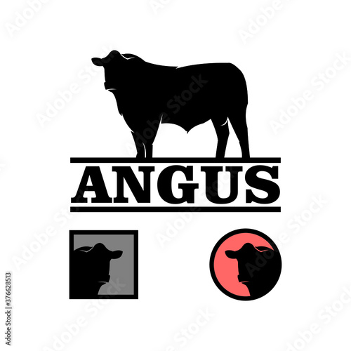 ANGUS big black bull logotype