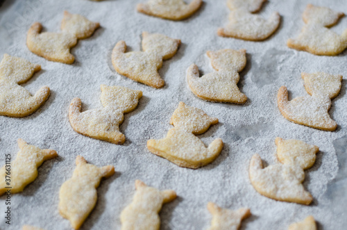 czech christmas cookies in animal shapes