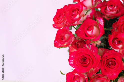 Beautiful bouquet of red roses on light background