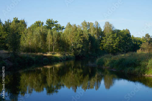 Summer forest river reflection landscape. Forest river reflection view. Forest river landscape. Green forest river view
