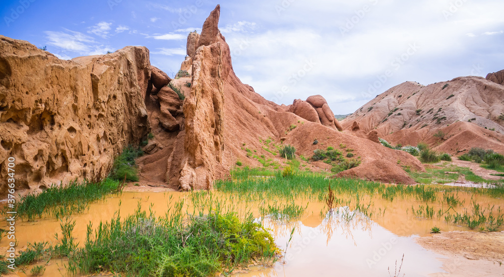 Fototapeta premium Swamp by the canyons