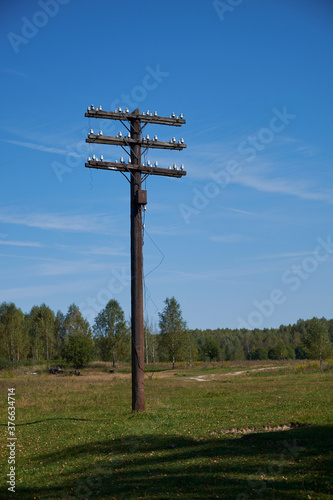 one black old wooden electric pole without wires against a blue sky