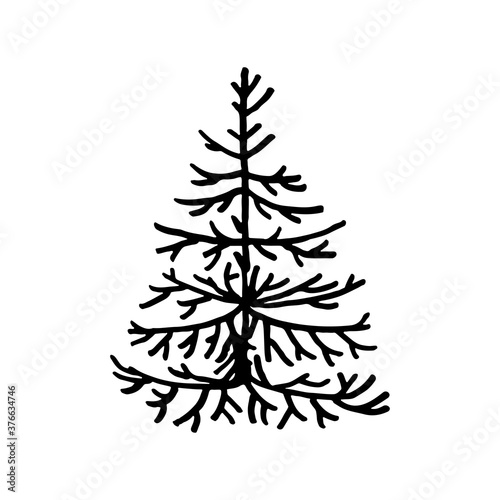 Hand drawn  doodle fir tree isolated on white background. Conifer sketch. Vector illustration. Design for print, banner, greeting card, logo