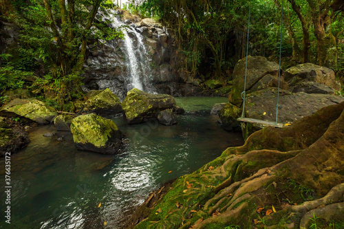 Waterfall landscape. Beautiful hidden waterfall in tropical rainforest. Tree with a swing. Fast shutter speed. Sing Sing Angin waterfall, Bali, Indonesia