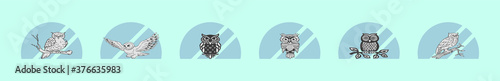 set of owl cartoon icon design template with various models. vector illustration photo