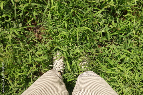 夏の草むらに立つ