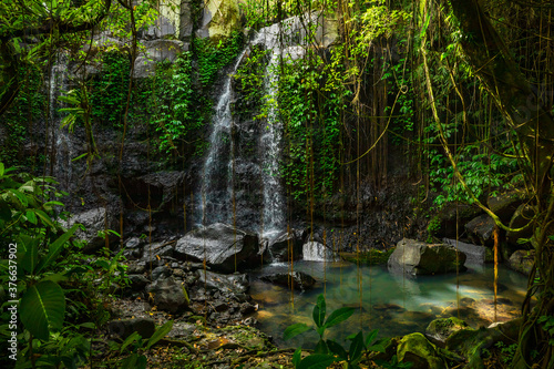 Waterfall landscape. Beautiful hidden waterfall in tropical rainforest. Nature background. Fast shutter speed. Sing Sing Angin waterfall  Bali  Indonesia