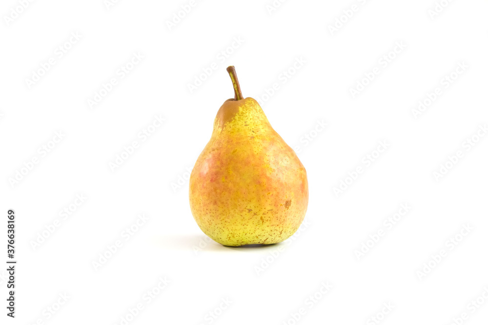 Autumn fruits, vegetables and berries on a white background Autumn fruits, vegetables and berries on a white background