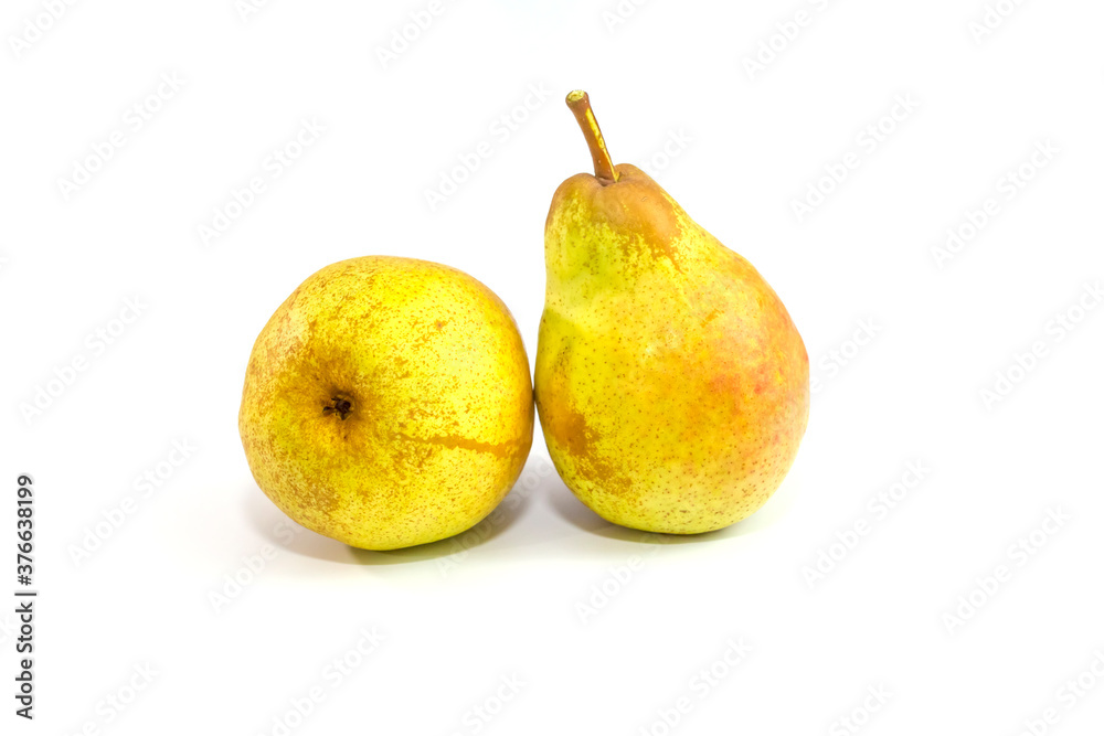 Autumn fruits, vegetables and berries on a white background Autumn fruits, vegetables and berries on a white background