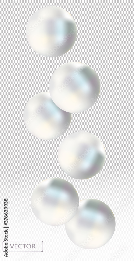 Shiny white sea pearl on transparent background. Beautiful jewelry for women. Illustration for your poster, banner. Vector illustration.