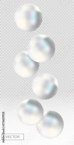 Shiny white sea pearl on transparent background. Beautiful jewelry for women. Illustration for your poster, banner. Vector illustration.