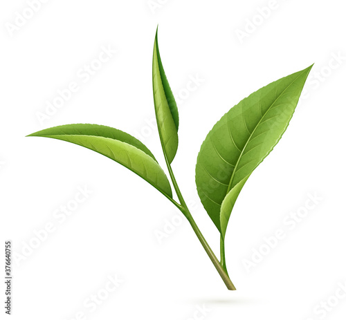 Tea leaves
