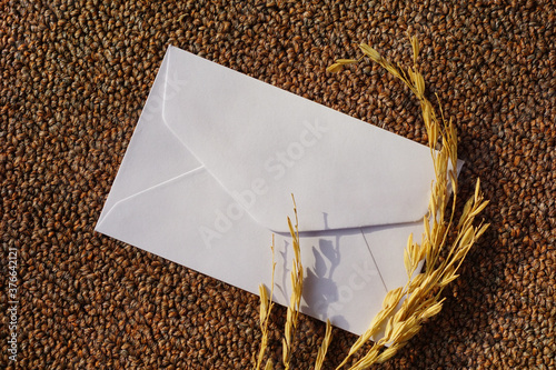 white envelope with dried grass for greeting mockup seasonal concepts on wool fabric background