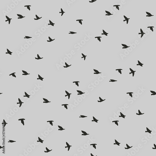 Seamless pattern with flying birds © magnia