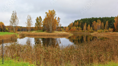 Autumn park in Russia with a lake view and reflection in the water