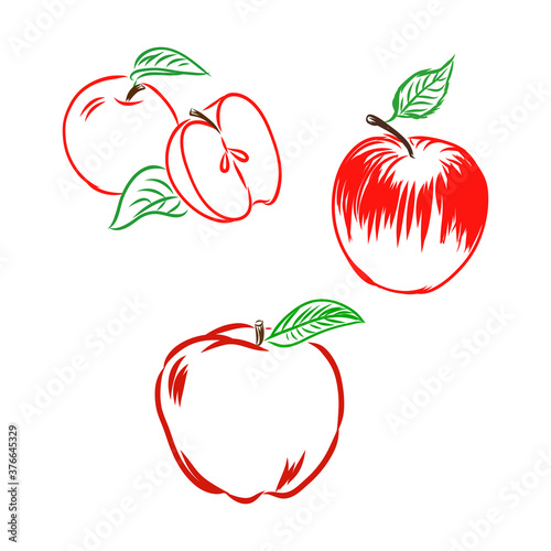 Illustration - apple, Apple, fruits vector sketch illustration