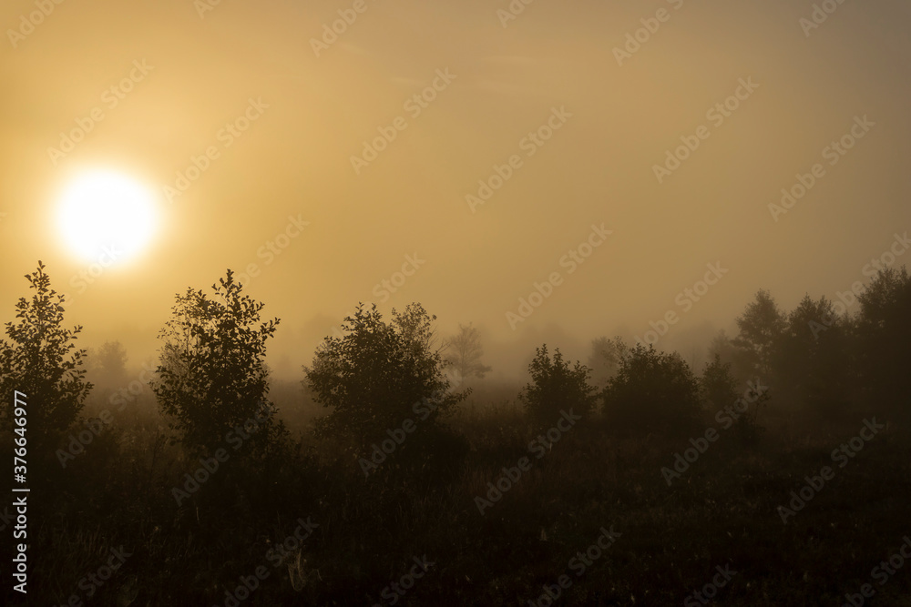 sunrise in the fog