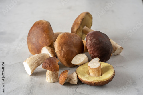 A pile of cut forest mushrooms on a concrete kitchen table. Cep mushroom; Boletus; Borovik. Mushrooms Picking.