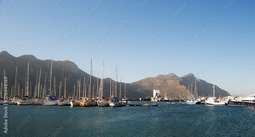Naklejka premium Houtbay harbour