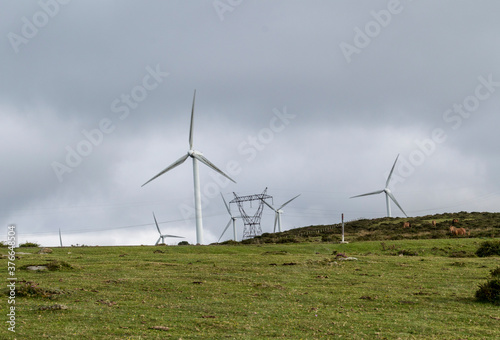 Vista de molinos de viento. Grupo de molinos de viento en la montaña. Foto realizada en un día nublado. concepto de energia renovable. Granja de molinos de viento. © Cristina