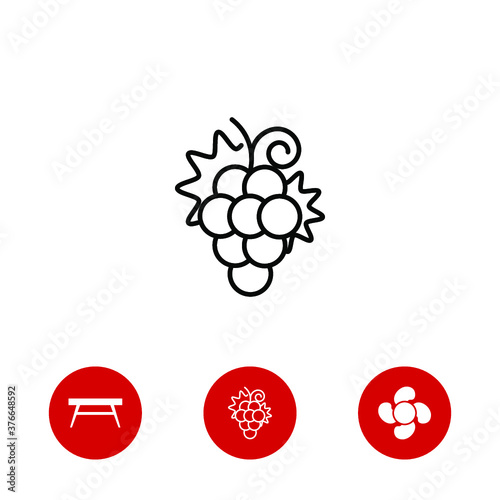 grape icon and three bonus icons on white background, vector