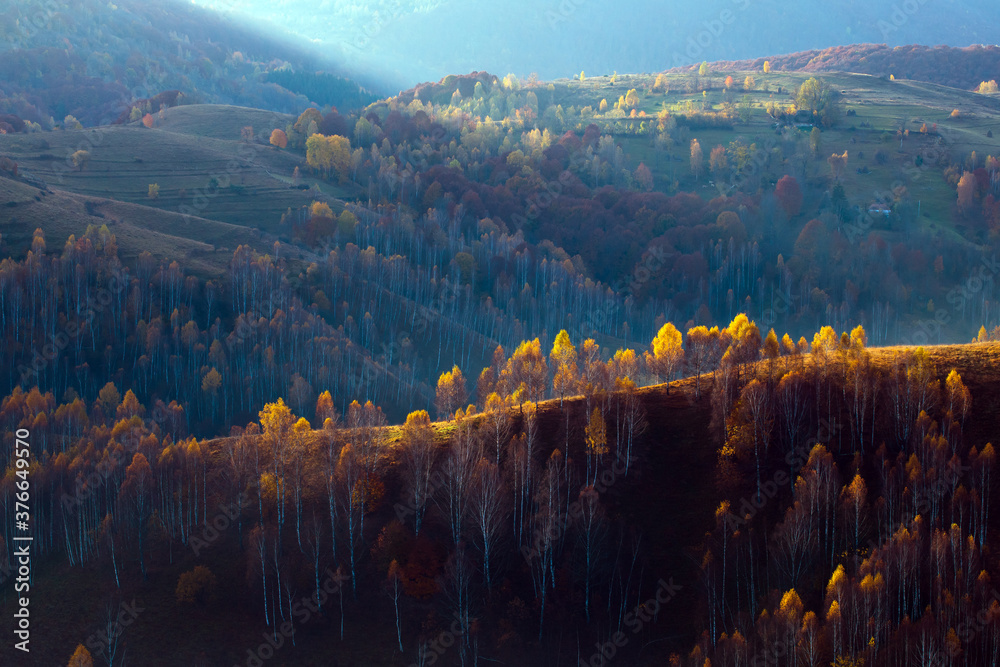 Obraz premium Beautiful autumnal landscape with colorful trees.