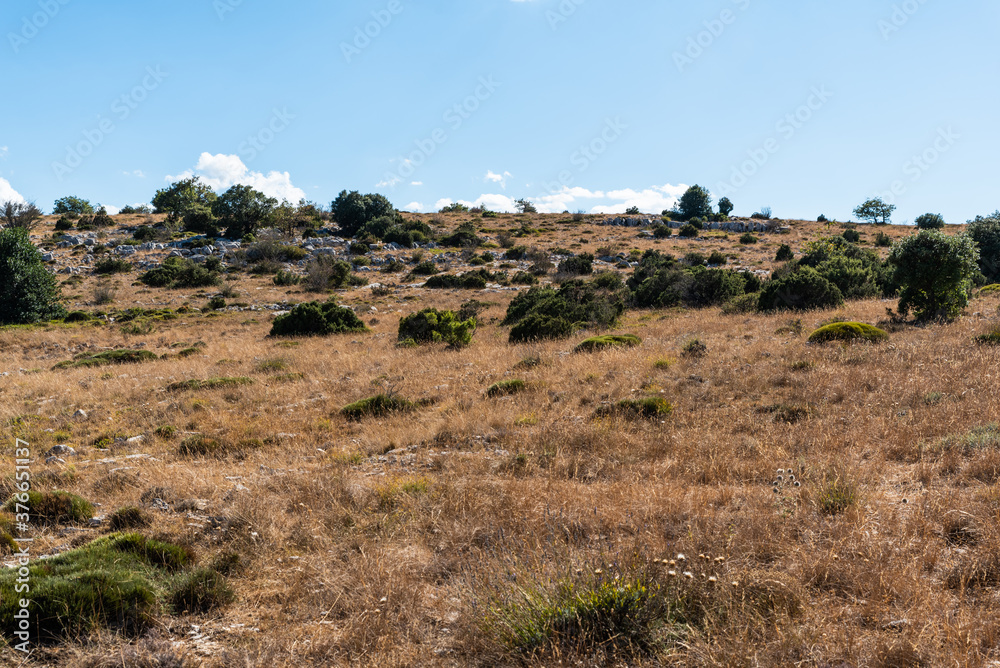 Landscape at the top of the mountain on a summer day with vegetation and trees and rocks with bright blue sky in Catalonia, Spain Landscape at the top of the mountain on a summer day with vegetation and trees and rocks with bright blue sky in Catalonia, Spain