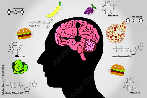 Cellular respiration in mitochondria is a set of metabolic reactions for take place in the cells of organisms to convert biochemical energy from food and other nutrients. Mitochondrial vector