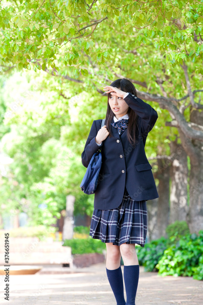 並木道を歩く女子高校生 並木道を歩く女子高校生