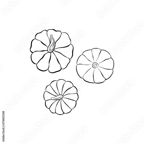 Pumpkin vector clipart set, linear style, top view. Hand drawn illustration of three pumpkins isolated on white background. Good for icons, label, poster, print, menu, cards.