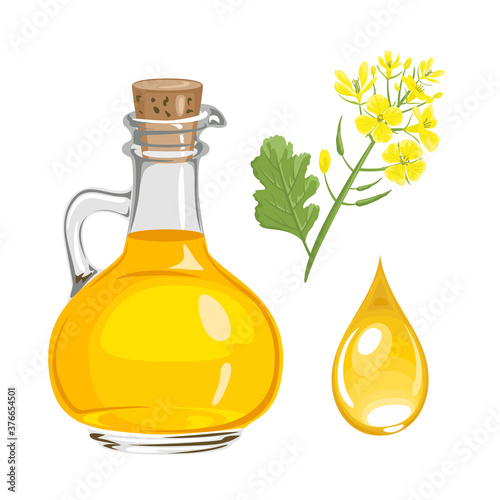 Mustard oil in glass bottle and drop isolated on white. Vector illustration. Yellow flower in cartoon flat style.