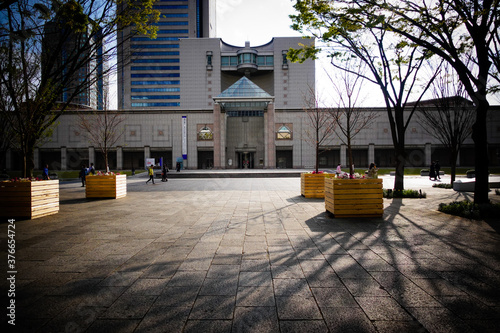 横浜美術館の全体と木の影　 