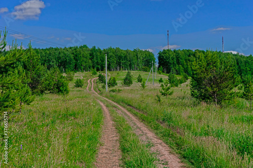 Travel on field roads among green grass at summer season . Blue sky and dirty dirt road in the field. 
