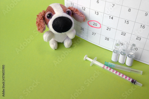 A syringe with ampoules, a soft toy a dog and a calendar with a marked date on light green background. photo