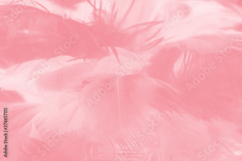 pink feather pattern texture background