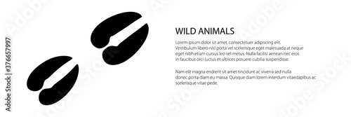 Banner of track of forest animal, trace of a roe deer animal , vector illustration