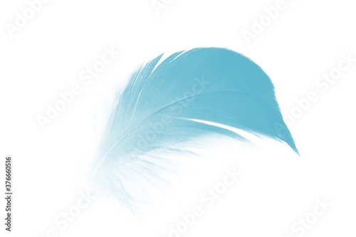 green turquoise colors tone feather isolated on white background
