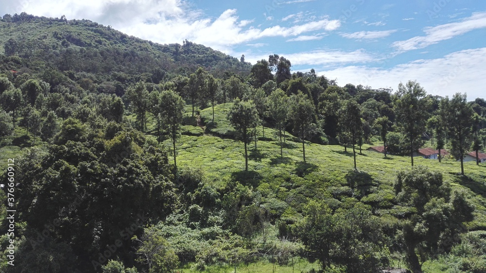 A day out in Ooty A day out in Ooty