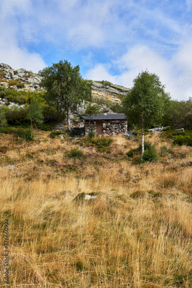 mountain refuge with two trees that guard it and the mountain in the background with its green and yellow vegetation in the southwest of Asturias in Spain