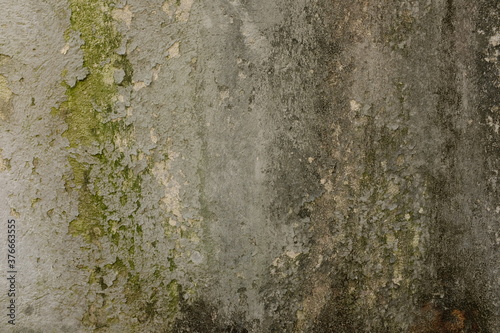 Wallpaper Mural Hintergrund, Mauer
 Torontodigital.ca